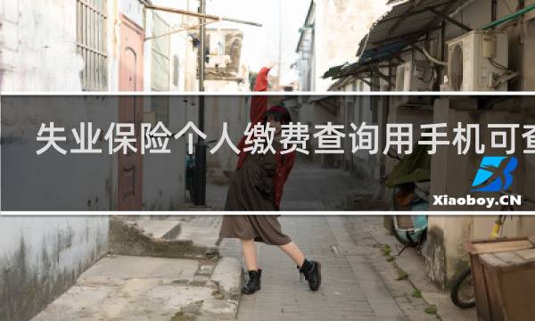 失业保险个人缴费查询用手机可查吗