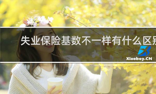 失业保险基数不一样有什么区别
