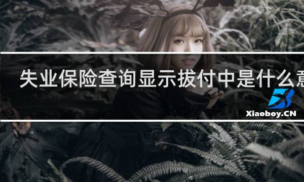 失业保险查询显示拔付中是什么意思