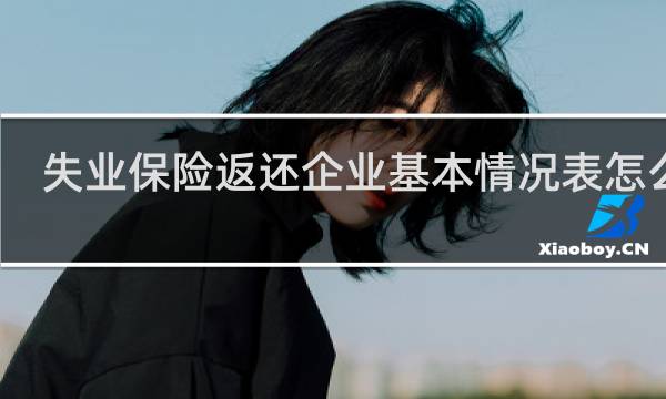 失业保险返还企业基本情况表怎么填