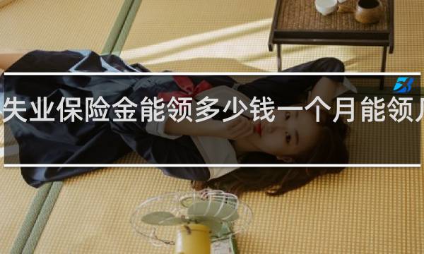 失业保险金能领多少钱一个月能领几个月