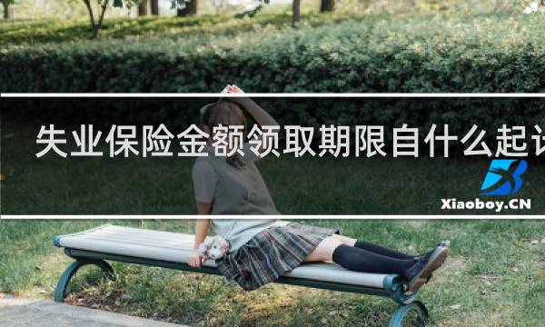 失业保险金额领取期限自什么起计算