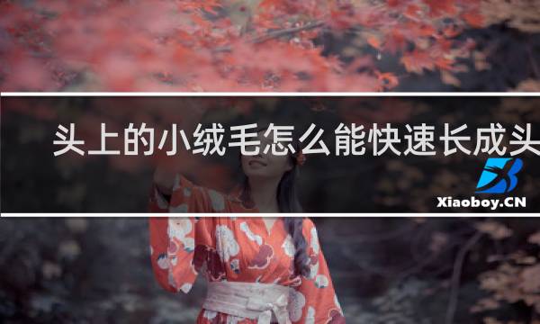 头上的小绒毛怎么能快速长成头发
