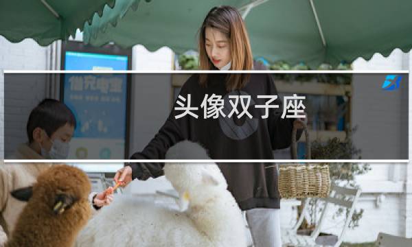 头像双子座