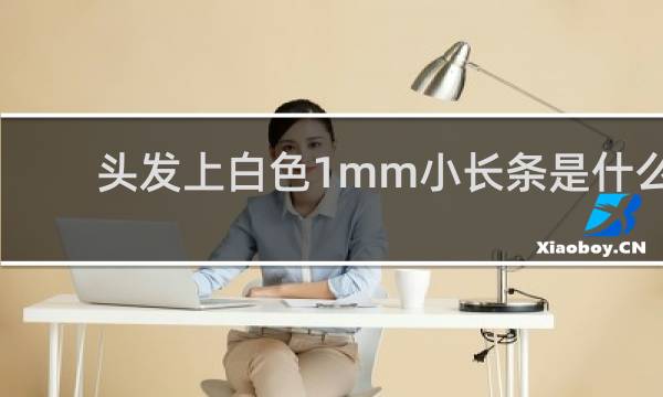 头发上白色1mm小长条是什么