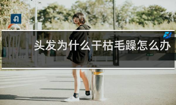 头发为什么干枯毛躁怎么办