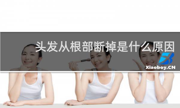 头发从根部断掉是什么原因