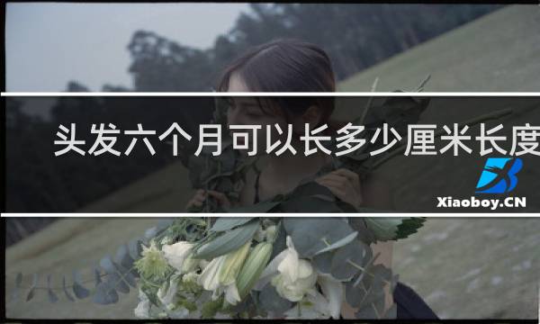 头发六个月可以长多少厘米长度图