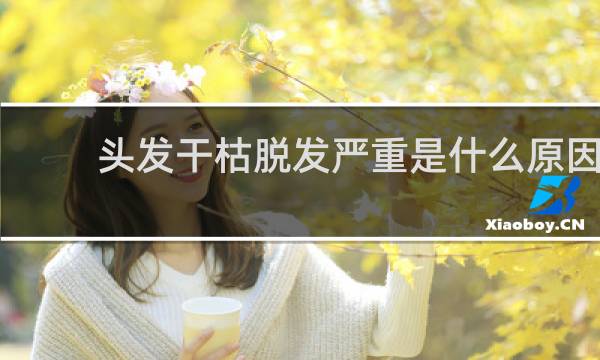 头发干枯脱发严重是什么原因
