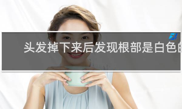 头发掉下来后发现根部是白色的