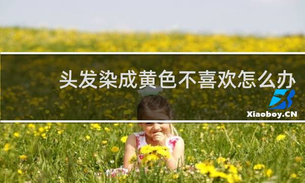 头发染成黄色不喜欢怎么办