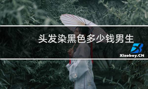 头发染黑色多少钱男生