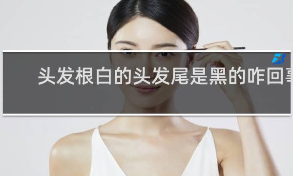 头发根白的头发尾是黑的咋回事