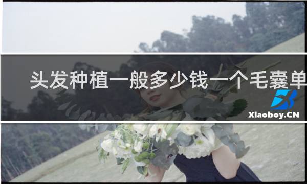 头发种植一般多少钱一个毛囊单位