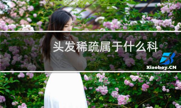 头发稀疏属于什么科