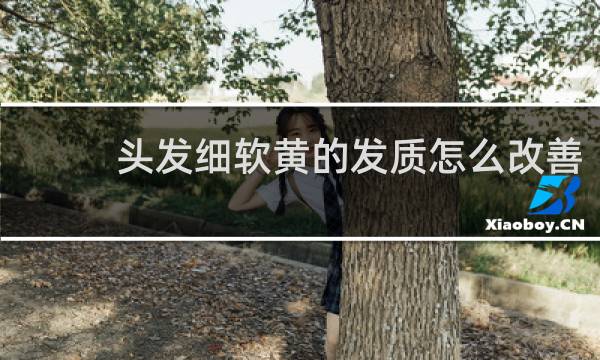 头发细软黄的发质怎么改善