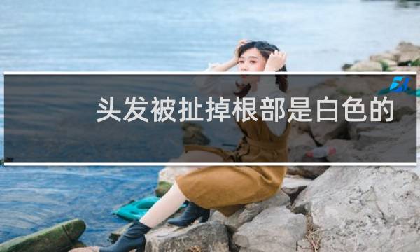 头发被扯掉根部是白色的