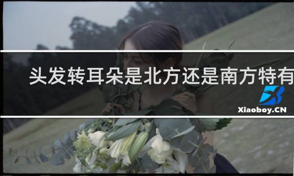头发转耳朵是北方还是南方特有的