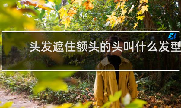 头发遮住额头的头叫什么发型?