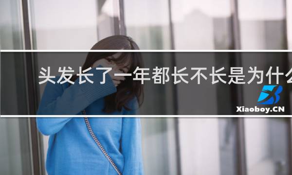 头发长了一年都长不长是为什么