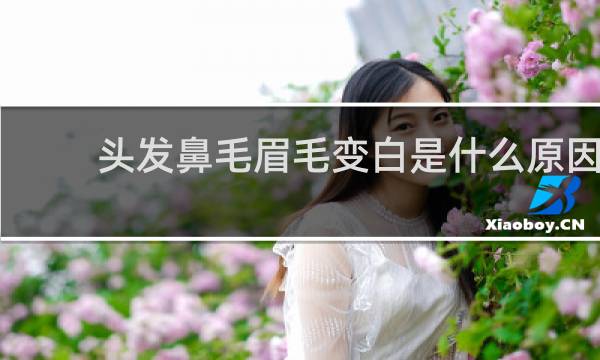 头发鼻毛眉毛变白是什么原因