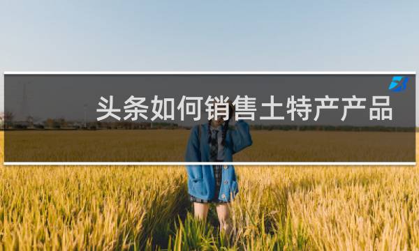 头条如何销售土特产产品