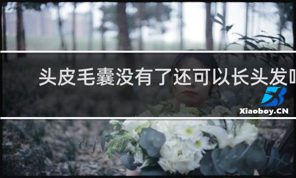 头皮毛囊没有了还可以长头发吗