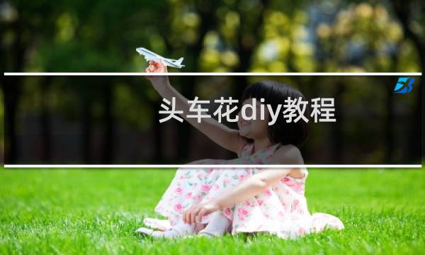 头车花diy教程