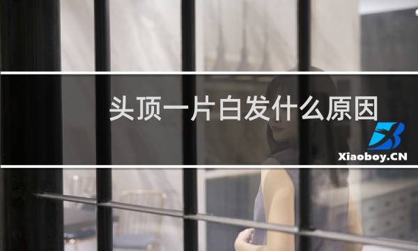 头顶一片白发什么原因