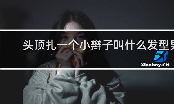 头顶扎一个小辫子叫什么发型男