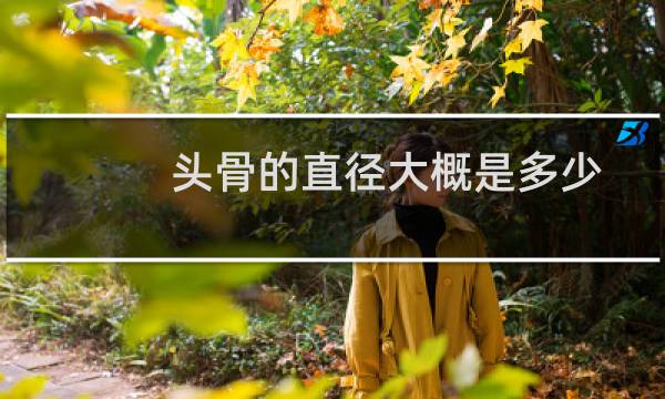 头骨的直径大概是多少