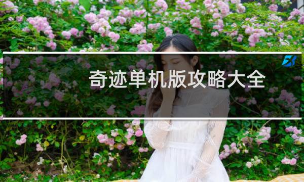 奇迹单机版攻略大全