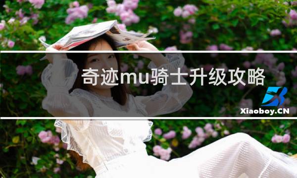 奇迹mu骑士升级攻略