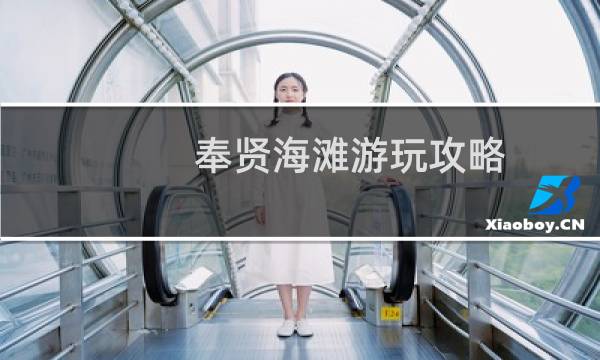 奉贤海滩游玩攻略