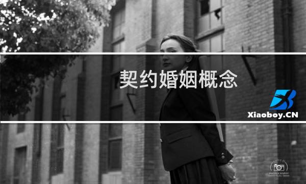 契约婚姻概念