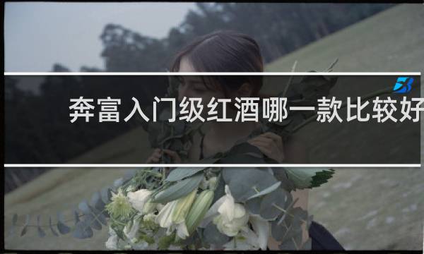 奔富入门级红酒哪一款比较好