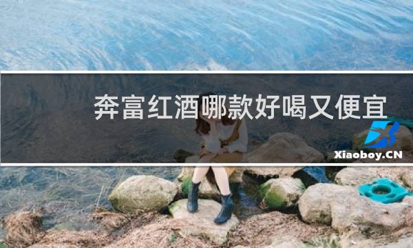 奔富红酒哪款好喝又便宜