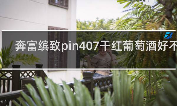 奔富缤致pin407干红葡萄酒好不好
