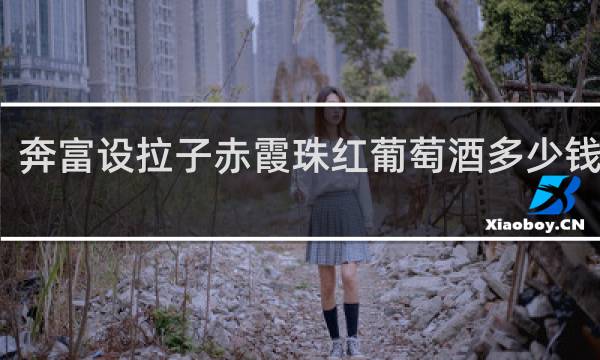 奔富设拉子赤霞珠红葡萄酒多少钱一瓶