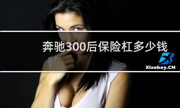 奔驰300后保险杠多少钱