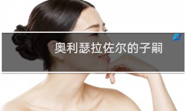 奥利瑟拉佐尔的子嗣 攻略