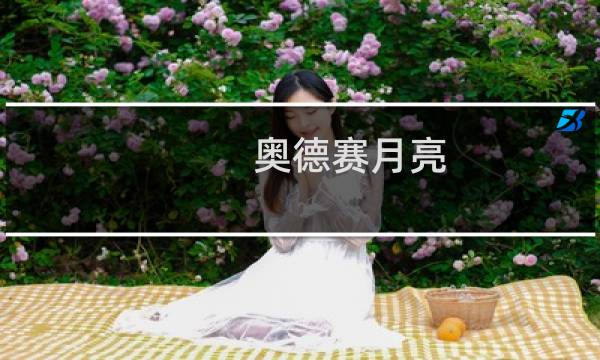 奥德赛月亮 攻略