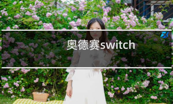 奥德赛switch 攻略