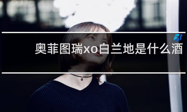 奥菲图瑞xo白兰地是什么酒