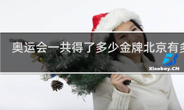 奥运会一共得了多少金牌北京有多少
