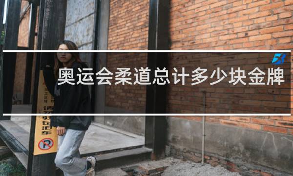 奥运会柔道总计多少块金牌