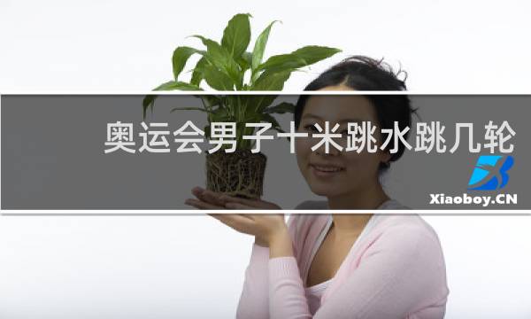 奥运会男子十米跳水跳几轮