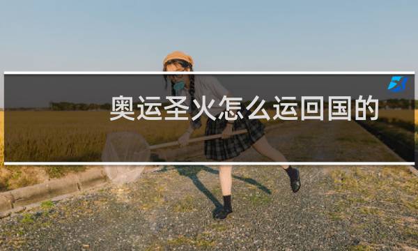 奥运圣火怎么运回国的