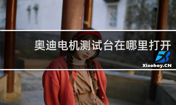奥迪电机测试台在哪里打开