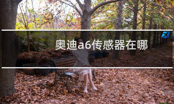奥迪a6传感器在哪
